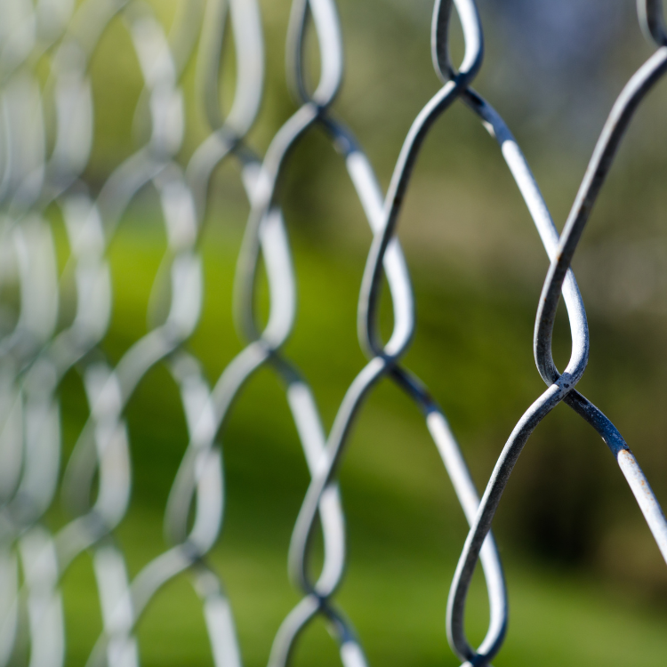 Fencing in Bryn Mawr, PA